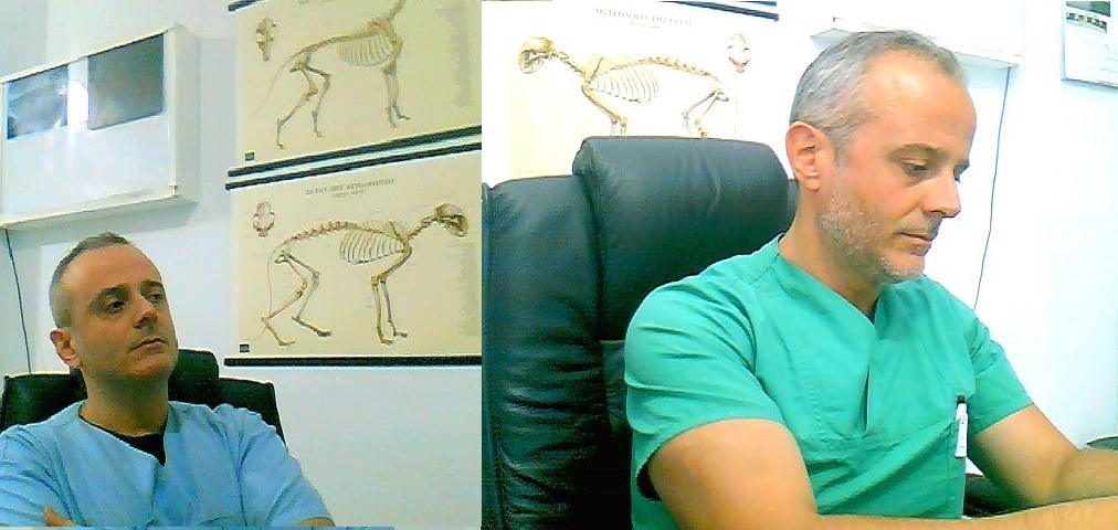 ΣΗΜΑΔΙΑ ΓΗΡΑΝΣΗΣ ΤΟΥ ΣΚΥΛΟΥ - ΓΡΑΦΕΙ Ο ΣΤΑΘΗΣ ΡΟΜΠΟΤΗΣ